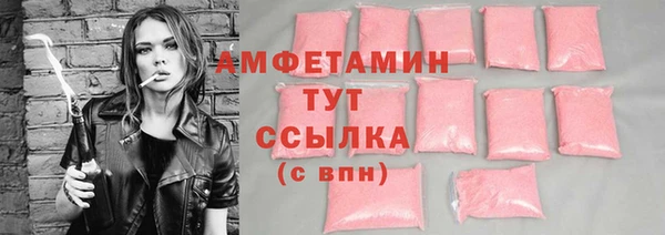 гидра Абаза