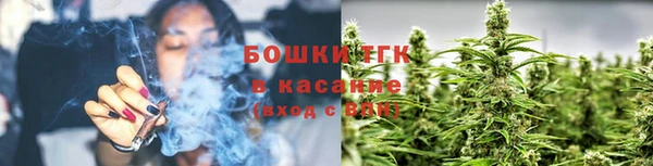 гидра Абаза