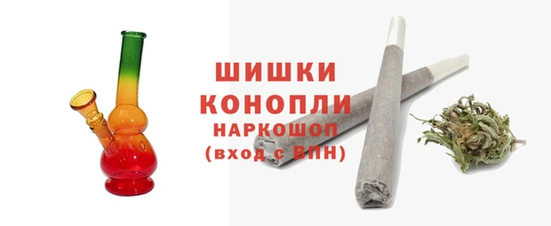гидра Абаза