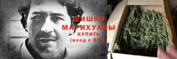 гидра Абаза