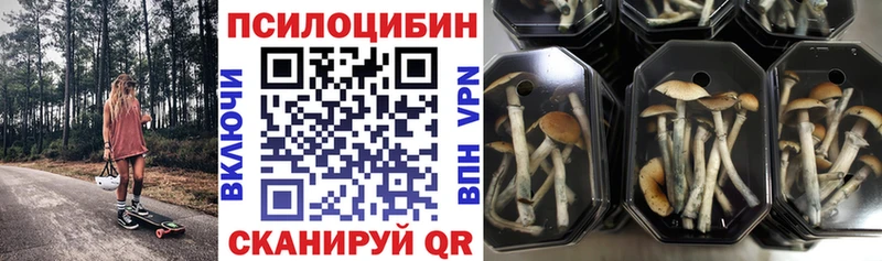 Псилоцибиновые грибы мицелий  Абаза 